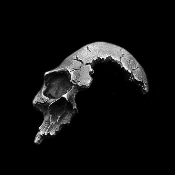 Half-Faced Skull Pendant - Monster Treasures
